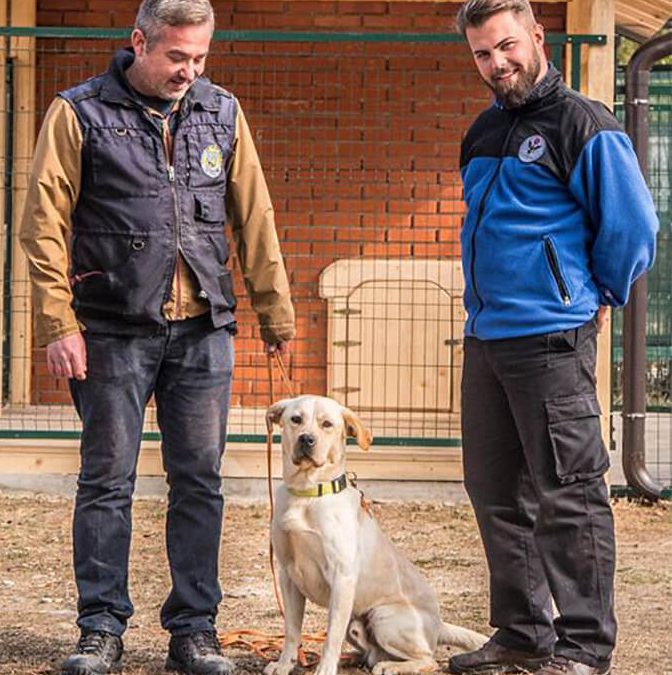 ‘Sonny’ the Explosive Detection Dog