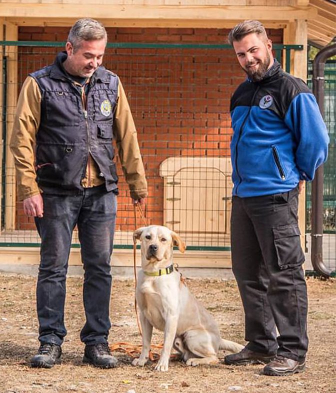 ‘Sonny’ the Explosive Detection Dog